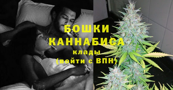 Альфа ПВП Белокуриха