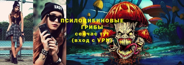 PSILOCYBIN Беломорск