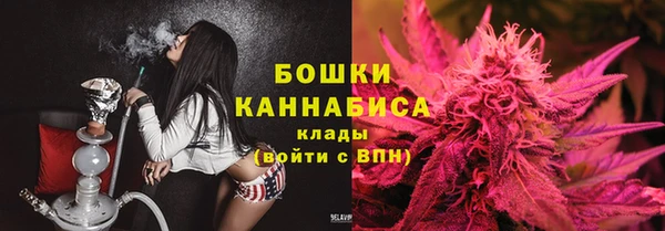 PSILOCYBIN Беломорск