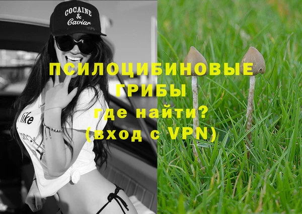Альфа ПВП Белокуриха