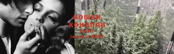 Альфа ПВП Белокуриха