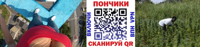 Купить где Бугуруслан Бошки марихуана VHQ